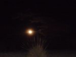 P1230629 La Luna.jpg
