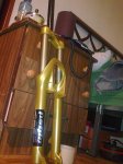 Horquilla PSYLO oro.3.jpg
