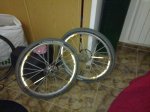 04122009158.jpg