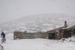 IMG_6137.jpg