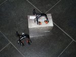 P1010026.jpg