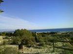 DSC00627.jpg