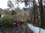 DSC04766.jpg