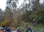 DSC04769.jpg