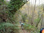 DSC04781.jpg