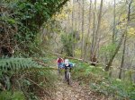 DSC04783.jpg