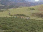Imagen 042.jpg