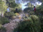 TRIALERA ABEJAS PUESTOS DE FILMACION.jpg