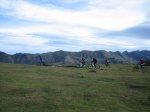 IMG_8591.JPG