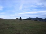 IMG_8592.JPG