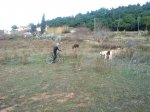 DSC03900.jpg