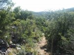 PIC_0026.jpg
