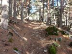 P1050017.jpg