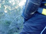 DSC02513.jpg