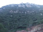 DSCF1183 (Medium).JPG