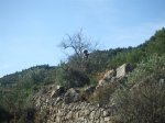 DSCF1187 (Medium).JPG
