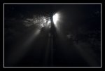niebla.jpg