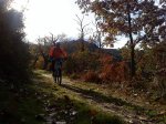 DSC00080.jpg