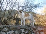 ruta eslida 028.jpg