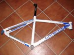 DSC04209.JPG