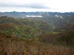 Xentes 6-12-09 005.jpg
