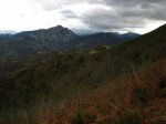Xentes 6-12-09 006.jpg