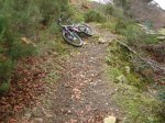 Xentes 6-12-09 008.jpg