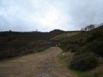 DSC04791.jpg