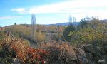 DSCN0673.JPG