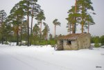 DSCN0685.JPG