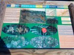 DSC00694.JPG
