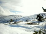 DSCN0718.JPG