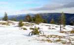DSCN0719.JPG