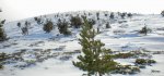 DSCN0726.JPG