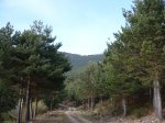P1050003.jpg