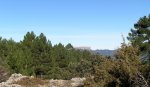 PC050014_resize.jpg