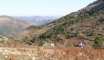 PC050082_resize.jpg