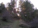 PC050132_resize.JPG