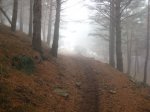 IMG_1063 [1280x768].JPG