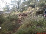 DSC00061.jpg