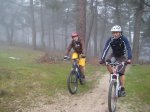 IMG_2416.jpg