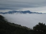 IMG_2422.jpg
