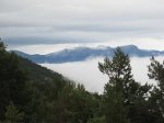 IMG_2428.jpg