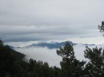 IMG_2435.jpg