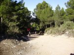 PC060238.jpg