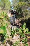 DSC_0016b.jpg