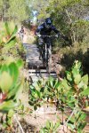 DSC_0020b.jpg