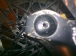 foto1.jpg
