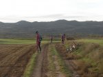 PC050219.jpg