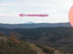 PC050242.jpg